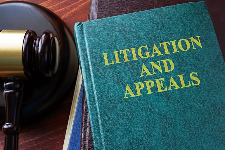 LitigationAndAppeals